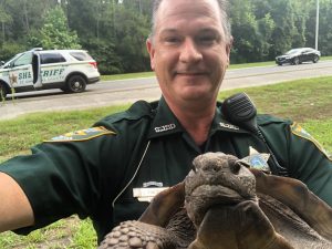 Tartaruga ‘leva advertência’ por atrapalhar trânsito em estrada nos EUA